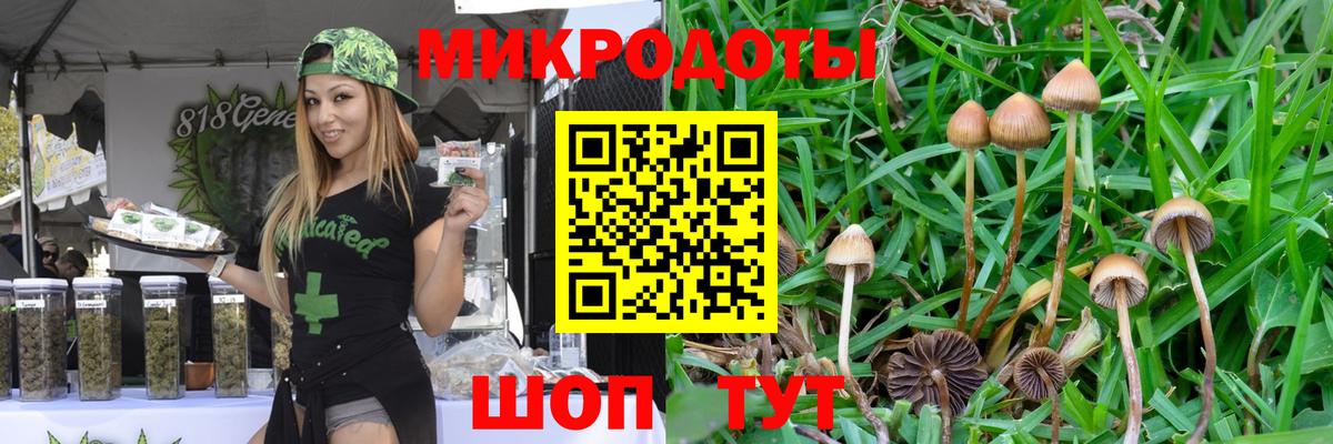 Галлюциногенные грибы ЛСД  Вход с VPN  Кашира 